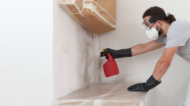 Professional Mold Remediation technician working in Mears, VA